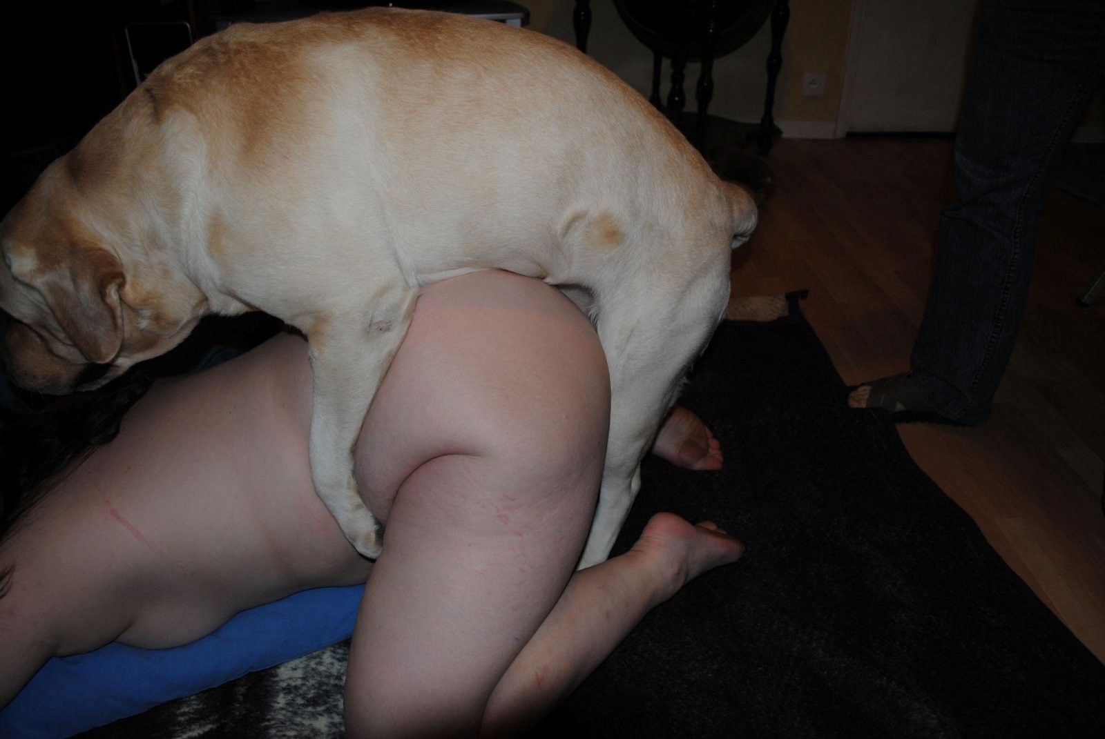 pute de chienne salope lesbiene pute de chienne salope lesbiene